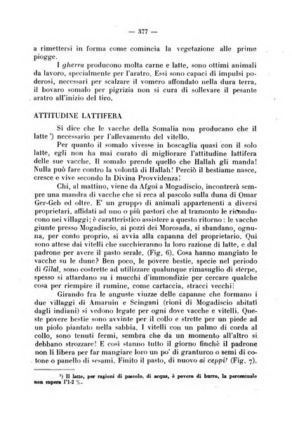 La critica zootecnica periodico illustrato mensile