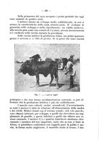 giornale/CFI0344453/1934/unico/00000439