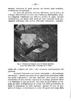 giornale/CFI0344453/1935/unico/00000399