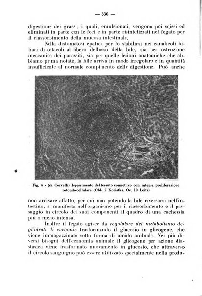 La critica zootecnica periodico illustrato mensile