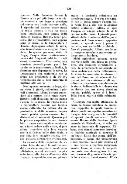 La critica zootecnica periodico illustrato mensile