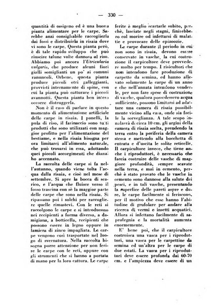 La critica zootecnica periodico illustrato mensile