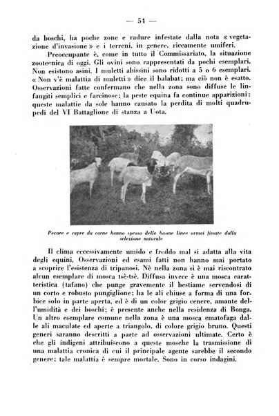 La critica zootecnica periodico illustrato mensile