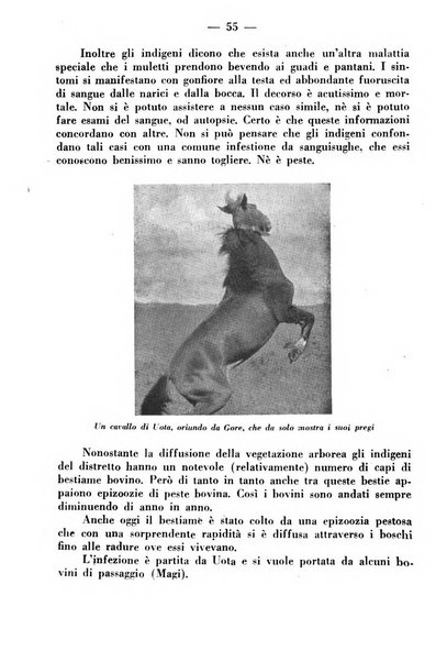 La critica zootecnica periodico illustrato mensile