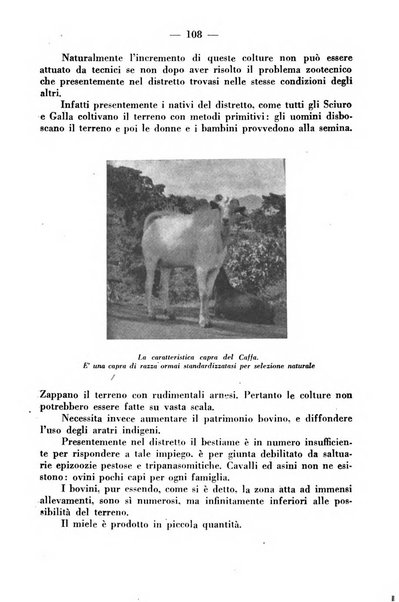 La critica zootecnica periodico illustrato mensile