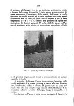 giornale/CFI0344453/1939/unico/00000250
