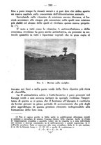 giornale/CFI0344453/1939/unico/00000253