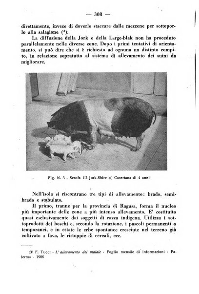 La critica zootecnica periodico illustrato mensile