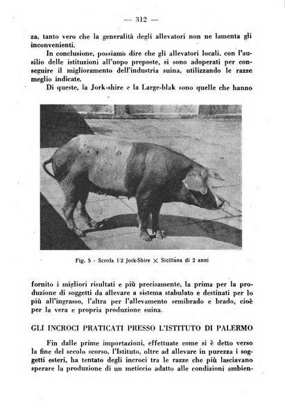 La critica zootecnica periodico illustrato mensile