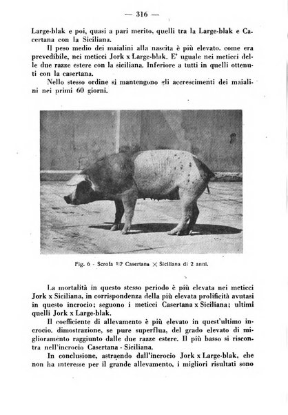 La critica zootecnica periodico illustrato mensile