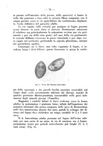 La critica zootecnica periodico illustrato mensile