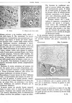 giornale/CFI0344815/1932/unico/00000019