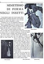 giornale/CFI0344815/1934/unico/00000248