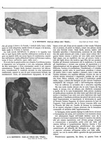 giornale/CFI0344815/1935/unico/00000010