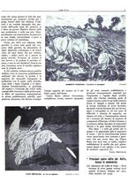 giornale/CFI0344815/1936/unico/00000053