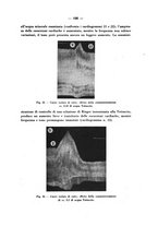 giornale/CFI0345715/1935/unico/00000219