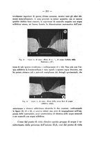 giornale/CFI0345715/1935/unico/00000231