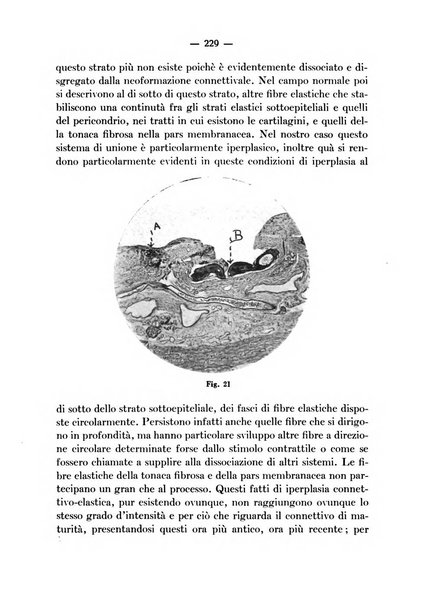 Archivio italiano per le malattie della trachea, bronchi, esofago