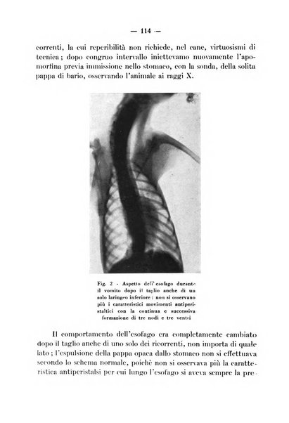 Archivio italiano per le malattie della trachea, bronchi, esofago