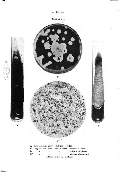 Archivio italiano per le malattie della trachea, bronchi, esofago