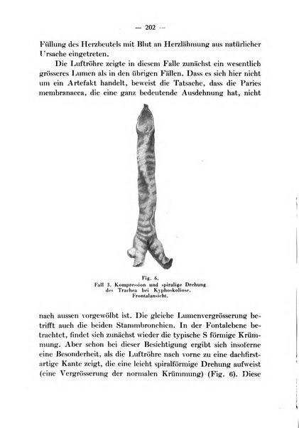 Archivio italiano per le malattie della trachea, bronchi, esofago