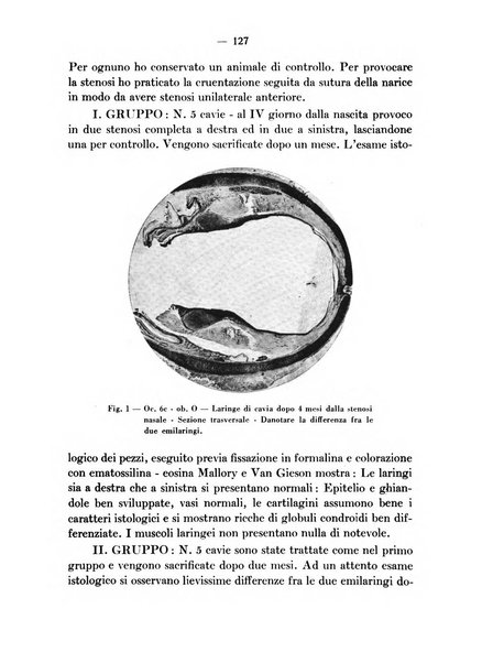 Archivio italiano per le malattie della trachea, bronchi, esofago