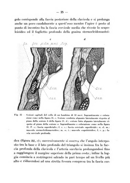 Archivio italiano per le malattie della trachea, bronchi, esofago