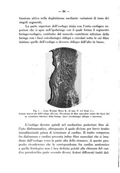 Archivio italiano per le malattie della trachea, bronchi, esofago