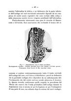 giornale/CFI0345716/1938/unico/00000099
