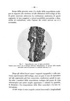 giornale/CFI0345716/1938/unico/00000101