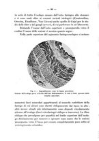 giornale/CFI0345716/1938/unico/00000102