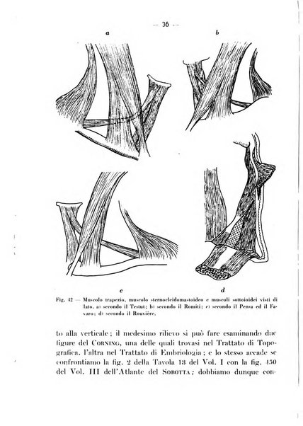 Archivio italiano per le malattie della trachea, bronchi, esofago