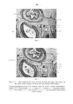 giornale/CFI0345716/1939/unico/00000172