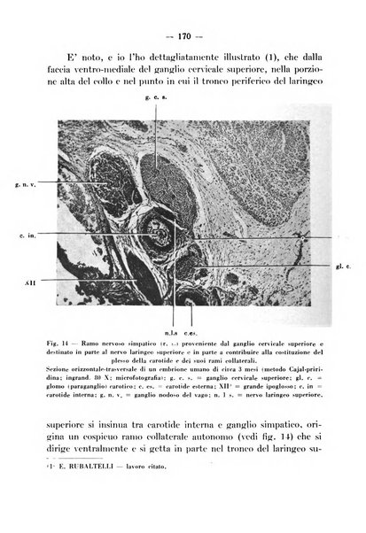 Archivio italiano per le malattie della trachea, bronchi, esofago