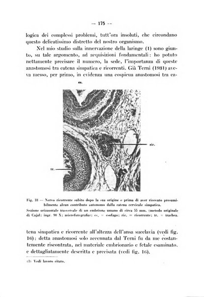 Archivio italiano per le malattie della trachea, bronchi, esofago