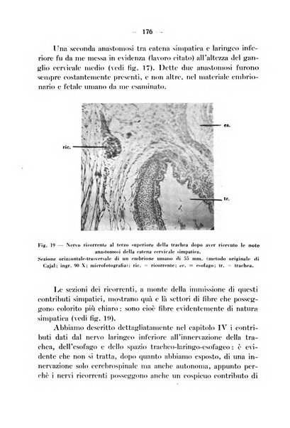 Archivio italiano per le malattie della trachea, bronchi, esofago