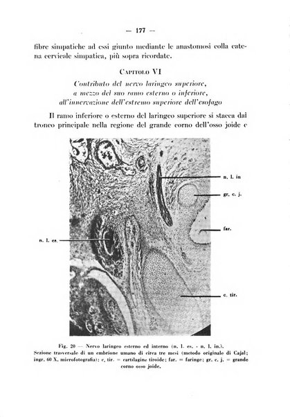 Archivio italiano per le malattie della trachea, bronchi, esofago