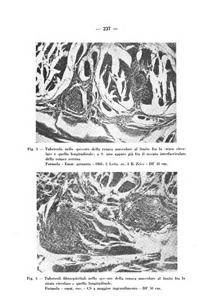 Archivio italiano per le malattie della trachea, bronchi, esofago