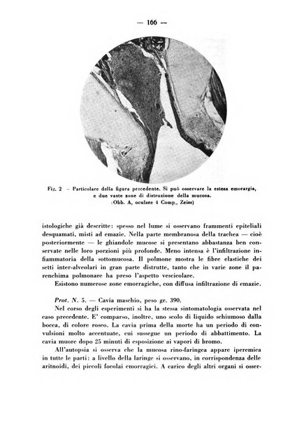 Archivio italiano per le malattie della trachea, bronchi, esofago