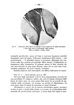 giornale/CFI0345716/1941/unico/00000178