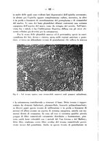 giornale/CFI0345716/1942/unico/00000074