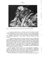 giornale/CFI0345716/1942/unico/00000148