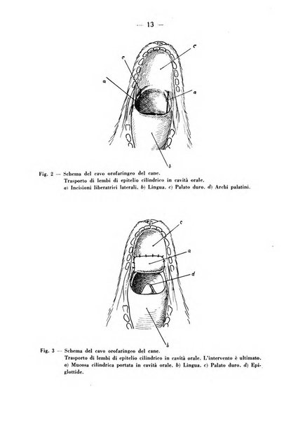 Archivio italiano per le malattie della trachea, bronchi, esofago