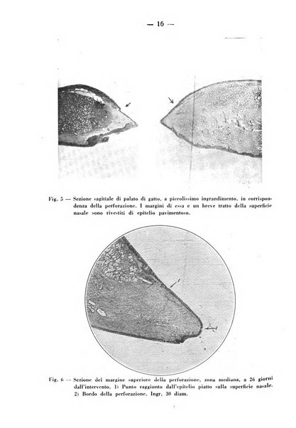 Archivio italiano per le malattie della trachea, bronchi, esofago