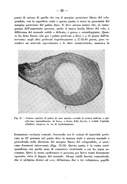 Archivio italiano per le malattie della trachea, bronchi, esofago