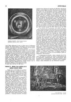 giornale/CFI0345944/1922/unico/00000288
