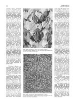 giornale/CFI0345944/1923/unico/00000100