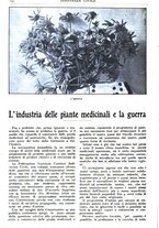 giornale/CFI0346061/1917/unico/00000154