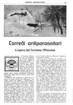 giornale/CFI0346061/1917/unico/00000565