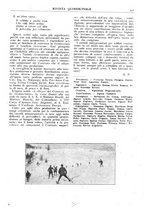 giornale/CFI0346061/1917/unico/00000569